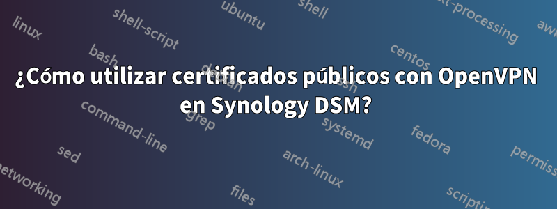 ¿Cómo utilizar certificados públicos con OpenVPN en Synology DSM?