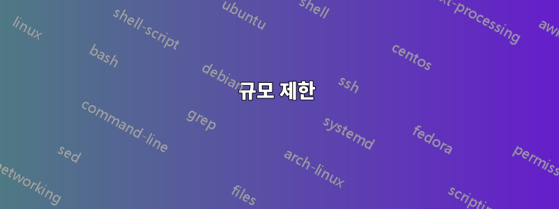 규모 제한