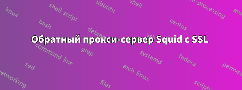 Обратный прокси-сервер Squid с SSL