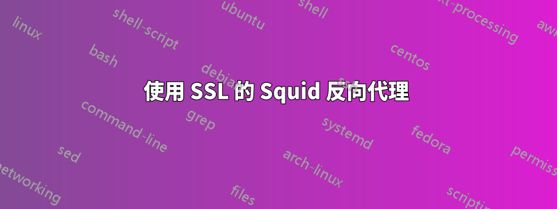 使用 SSL 的 Squid 反向代理