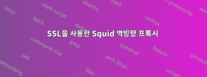 SSL을 사용한 Squid 역방향 프록시