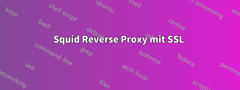 Squid Reverse Proxy mit SSL