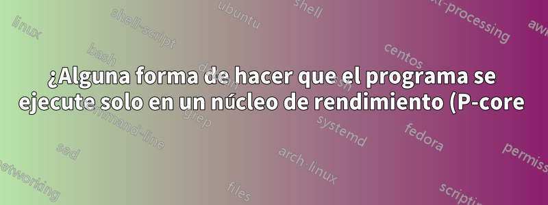 ¿Alguna forma de hacer que el programa se ejecute solo en un núcleo de rendimiento (P-core)?