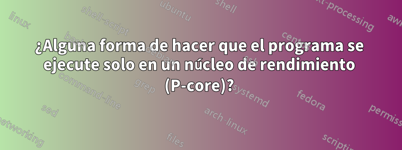 ¿Alguna forma de hacer que el programa se ejecute solo en un núcleo de rendimiento (P-core)?