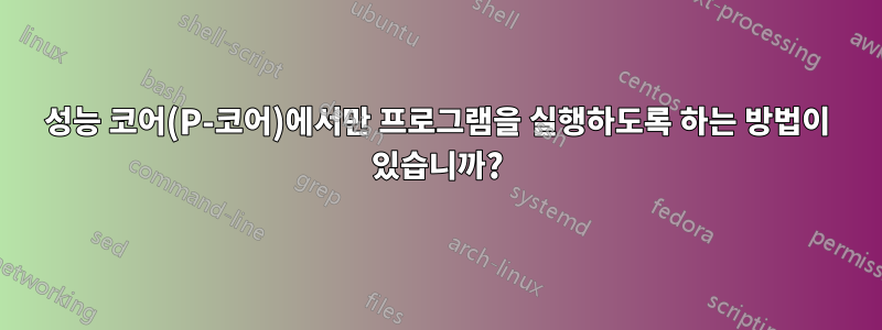 성능 코어(P-코어)에서만 프로그램을 실행하도록 하는 방법이 있습니까?