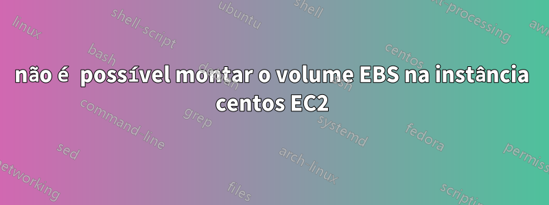 não é possível montar o volume EBS na instância centos EC2