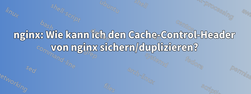 nginx: Wie kann ich den Cache-Control-Header von nginx sichern/duplizieren?