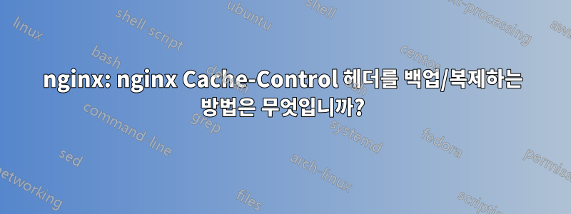 nginx: nginx Cache-Control 헤더를 백업/복제하는 방법은 무엇입니까?