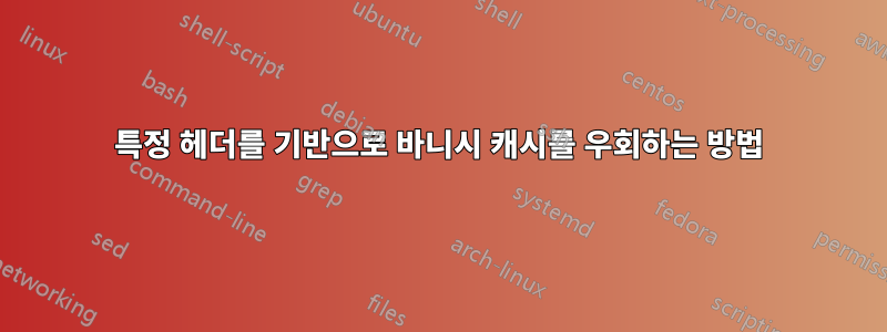 특정 헤더를 기반으로 바니시 캐시를 우회하는 방법