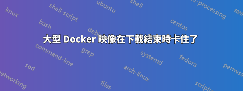 大型 Docker 映像在下載結束時卡住了