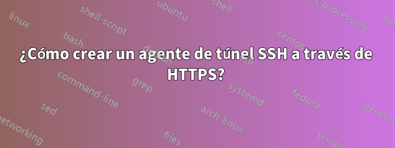 ¿Cómo crear un agente de túnel SSH a través de HTTPS?