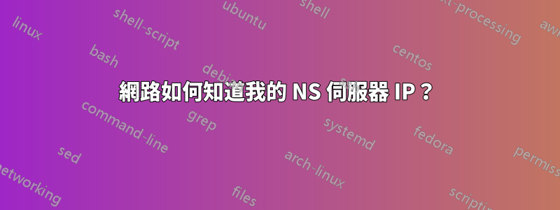 網路如何知道我的 NS 伺服器 IP？