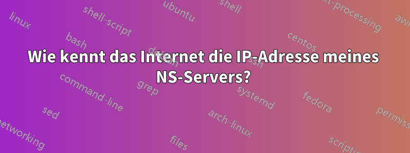 Wie kennt das Internet die IP-Adresse meines NS-Servers?