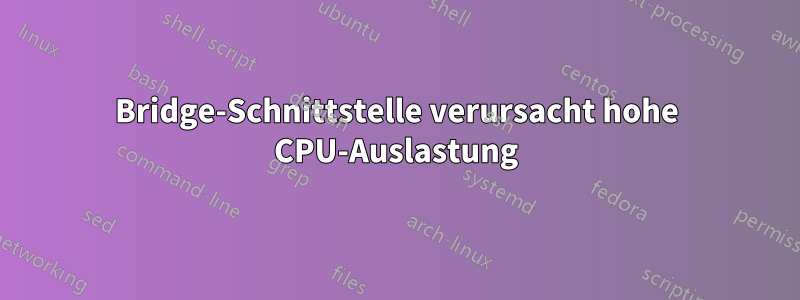 Bridge-Schnittstelle verursacht hohe CPU-Auslastung