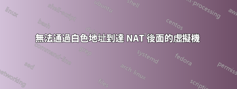 無法通過白色地址到達 NAT 後面的虛擬機