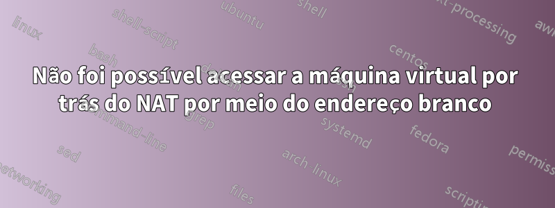 Não foi possível acessar a máquina virtual por trás do NAT por meio do endereço branco