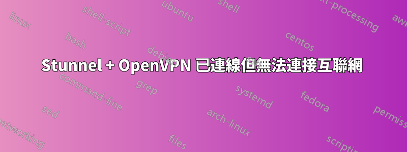 Stunnel + OpenVPN 已連線但無法連接互聯網