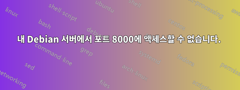 내 Debian 서버에서 포트 8000에 액세스할 수 없습니다.