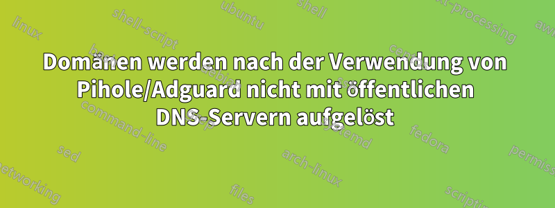 Domänen werden nach der Verwendung von Pihole/Adguard nicht mit öffentlichen DNS-Servern aufgelöst