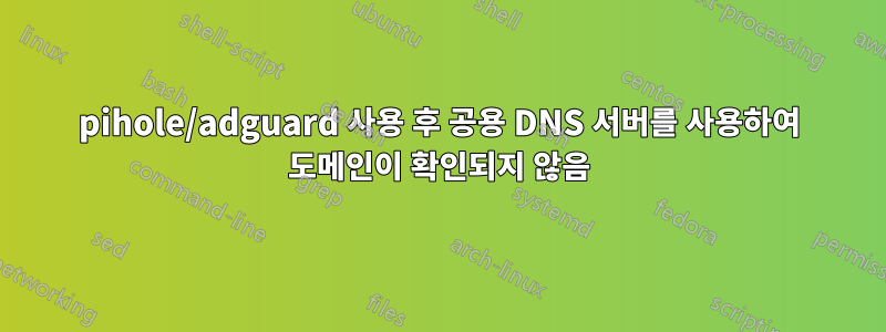 pihole/adguard 사용 후 공용 DNS 서버를 사용하여 도메인이 확인되지 않음