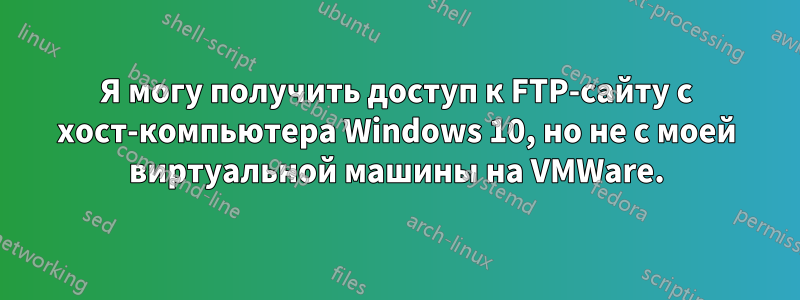 Я могу получить доступ к FTP-сайту с хост-компьютера Windows 10, но не с моей виртуальной машины на VMWare.