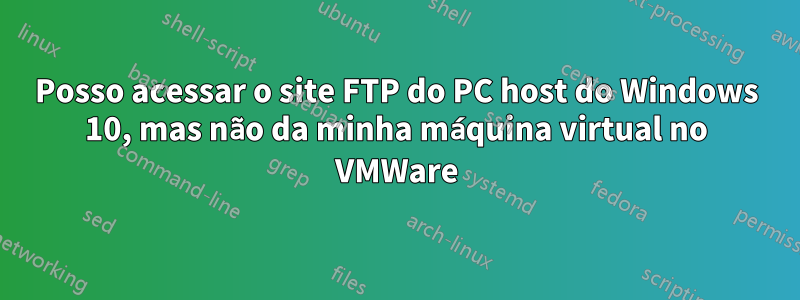 Posso acessar o site FTP do PC host do Windows 10, mas não da minha máquina virtual no VMWare