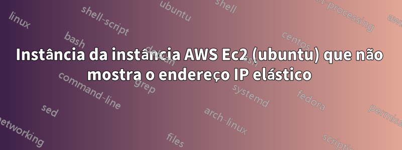 Instância da instância AWS Ec2 (ubuntu) que não mostra o endereço IP elástico