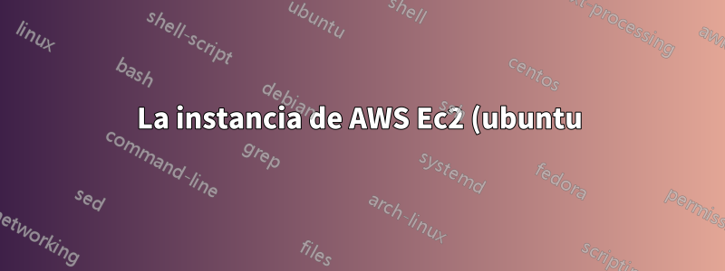 La instancia de AWS Ec2 (ubuntu) no muestra la dirección IP elástica