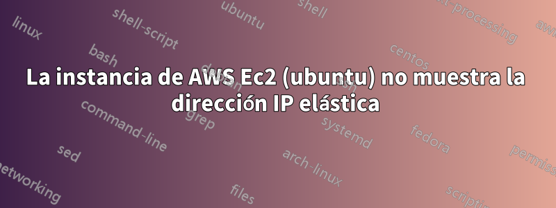 La instancia de AWS Ec2 (ubuntu) no muestra la dirección IP elástica