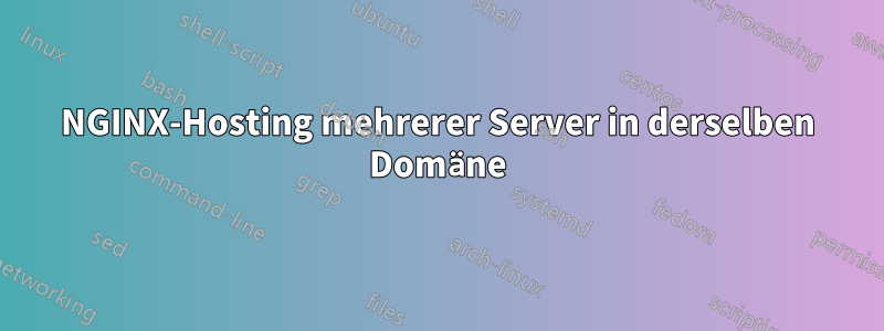 NGINX-Hosting mehrerer Server in derselben Domäne
