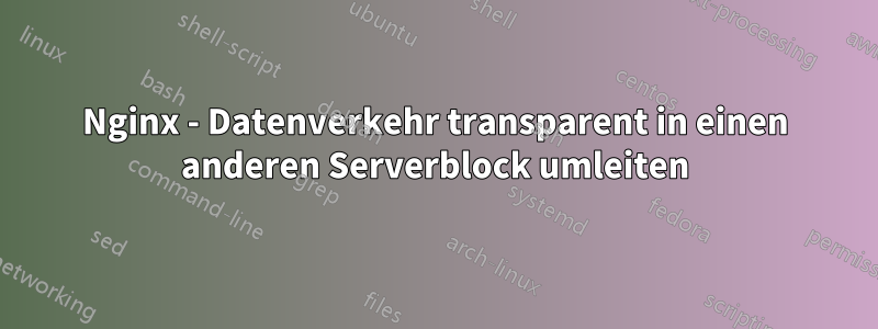 Nginx - Datenverkehr transparent in einen anderen Serverblock umleiten