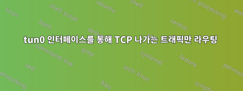 tun0 인터페이스를 통해 TCP 나가는 트래픽만 라우팅