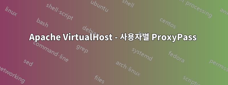 Apache VirtualHost - 사용자별 ProxyPass