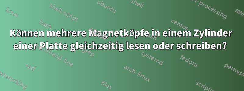 Können mehrere Magnetköpfe in einem Zylinder einer Platte gleichzeitig lesen oder schreiben? 