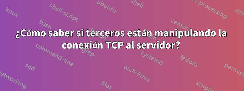 ¿Cómo saber si terceros están manipulando la conexión TCP al servidor?