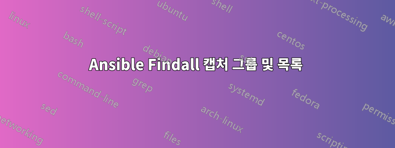 Ansible Findall 캡처 그룹 및 목록