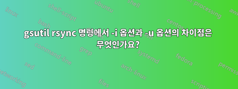 gsutil rsync 명령에서 -i 옵션과 -u 옵션의 차이점은 무엇인가요?