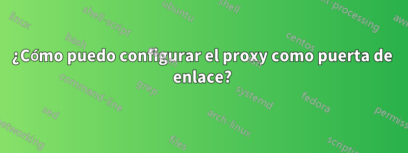 ¿Cómo puedo configurar el proxy como puerta de enlace?