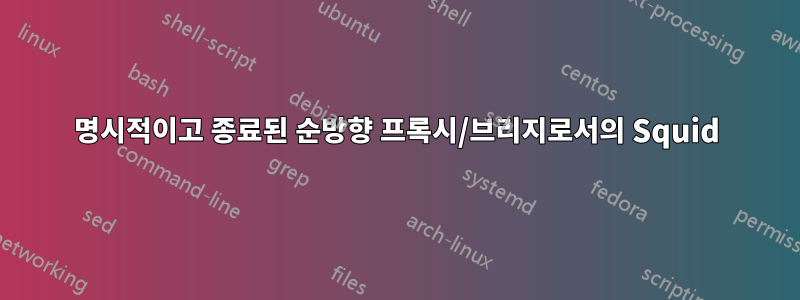 명시적이고 종료된 순방향 프록시/브리지로서의 Squid