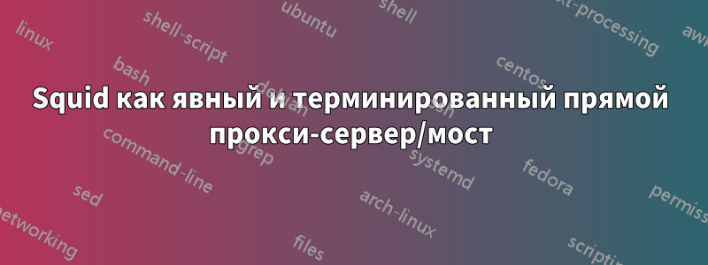 Squid как явный и терминированный прямой прокси-сервер/мост