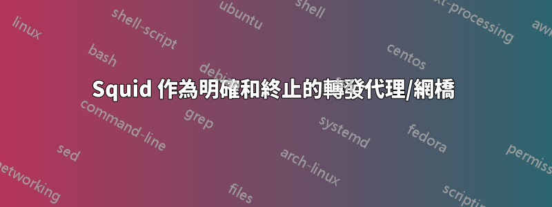 Squid 作為明確和終止的轉發代理/網橋