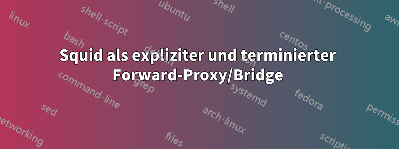 Squid als expliziter und terminierter Forward-Proxy/Bridge