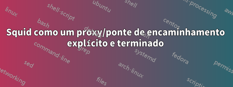 Squid como um proxy/ponte de encaminhamento explícito e terminado
