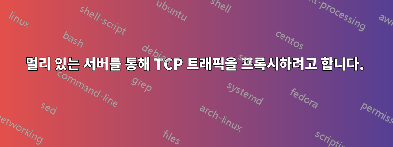 멀리 있는 서버를 통해 TCP 트래픽을 프록시하려고 합니다.