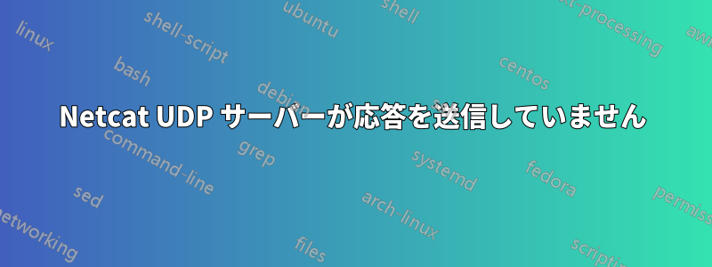 Netcat UDP サーバーが応答を送信していません