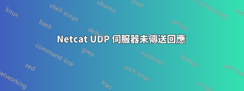 Netcat UDP 伺服器未傳送回應