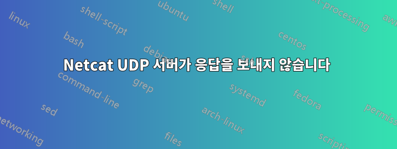Netcat UDP 서버가 응답을 보내지 않습니다