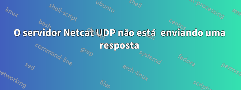 O servidor Netcat UDP não está enviando uma resposta