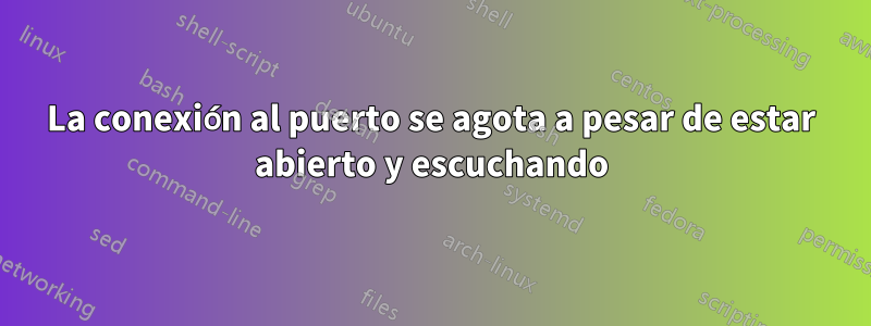 La conexión al puerto se agota a pesar de estar abierto y escuchando