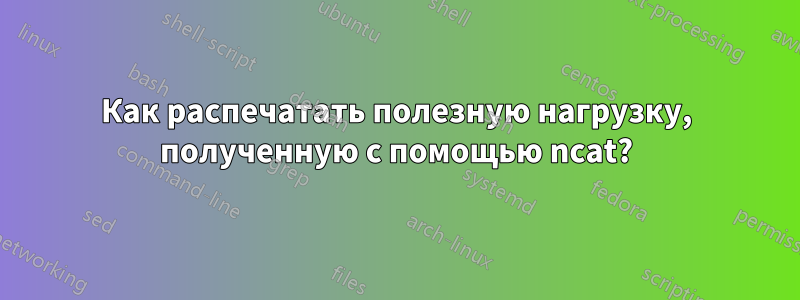 Как распечатать полезную нагрузку, полученную с помощью ncat?